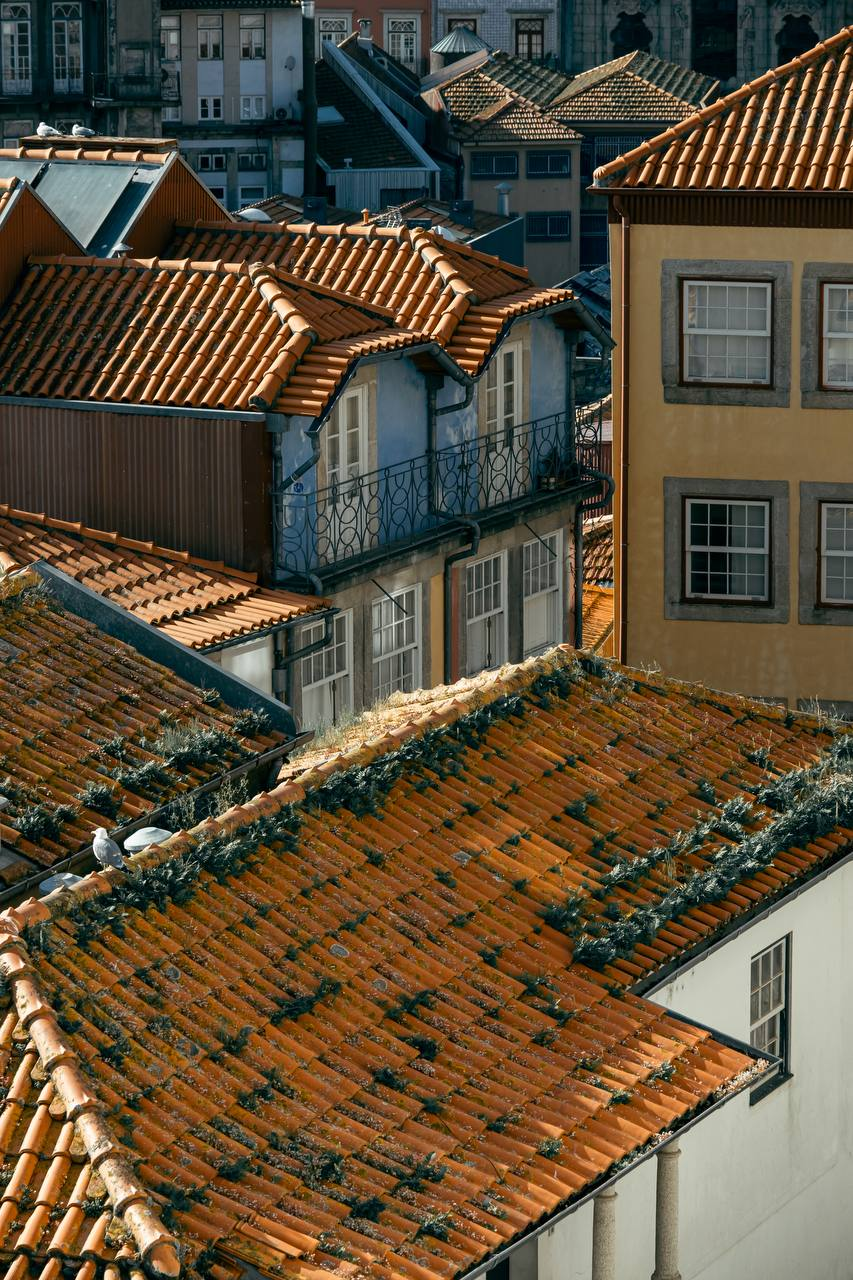 Что посмотреть в Аланье: turísticos маршруты для путешественников