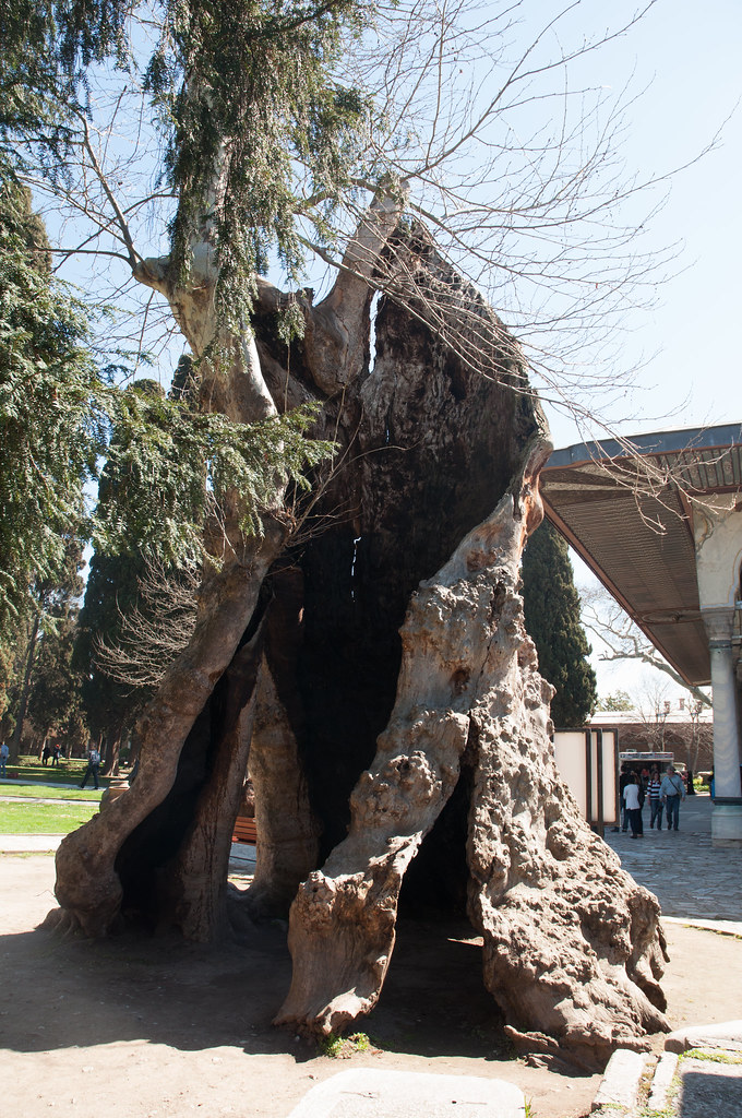 Спокойные пляжи Турции: идеальные места для отдыха с женой