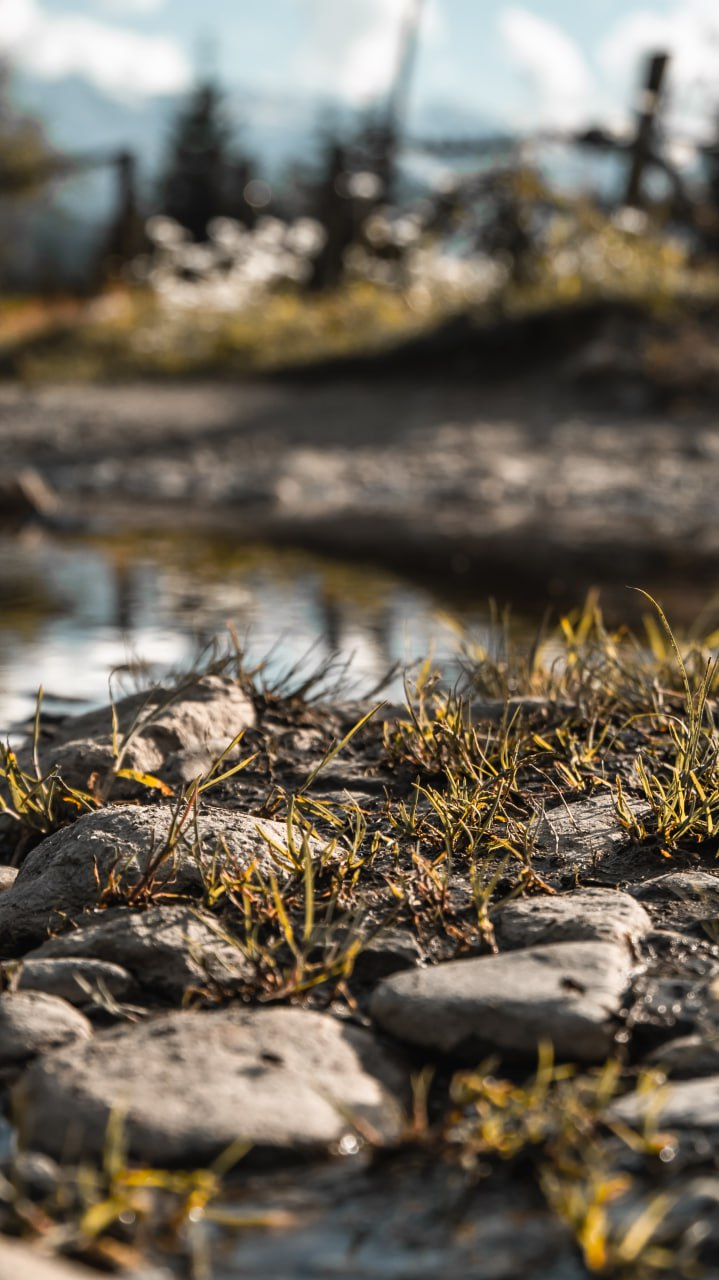 Топ-10 лучших отелей Турции для идеального отдыха этой зимой