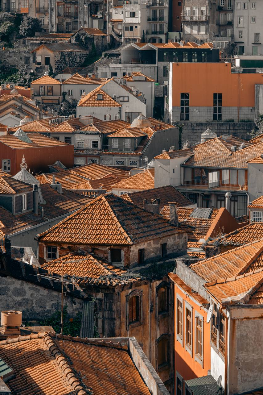 Яндекс путешествия: Как быстро и удобно спланировать отдых в Турции